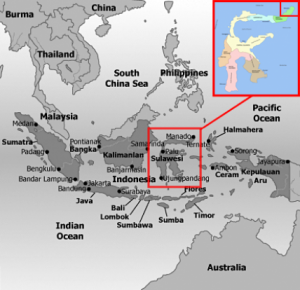 Sulawesi in Indonesie