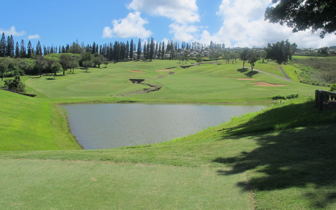 Golf op Hawaii: net niet hetzelfde als in Nederland