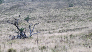 Sterren kijken op Mauna Kea