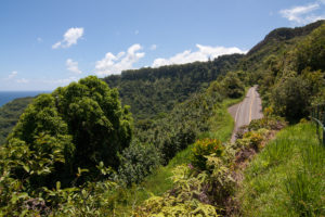 De Road to Hana