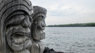 Cultuur snuiven en met dolfijnen snorkelen